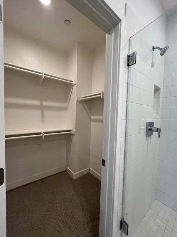 Bathroom, Interior, Recessed Lighting, Walk-in Closets