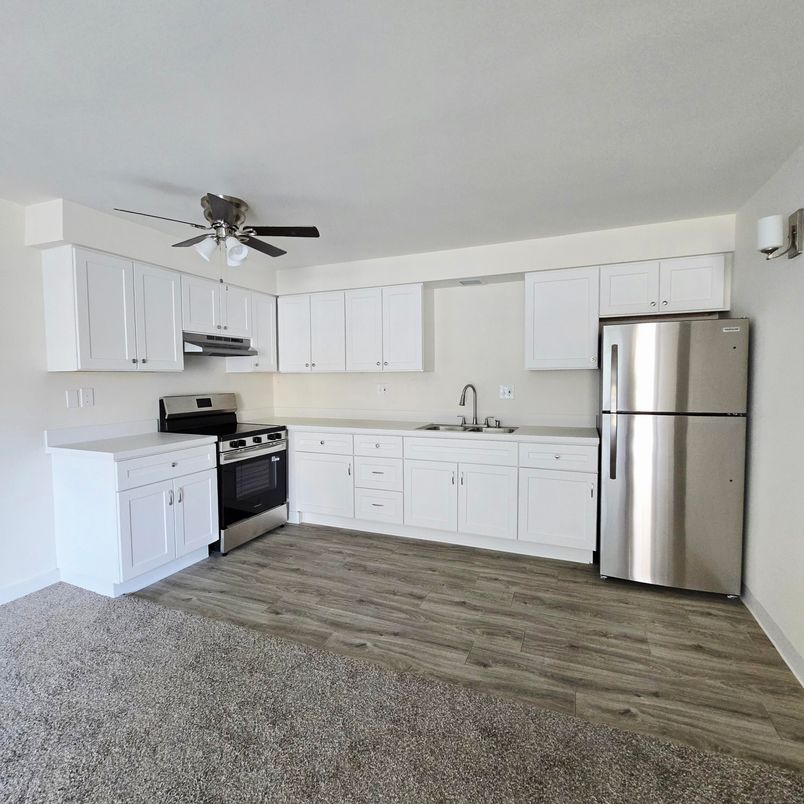 Interior, Kitchen, Stainless Steel Appliances, Wood Texture Flooring