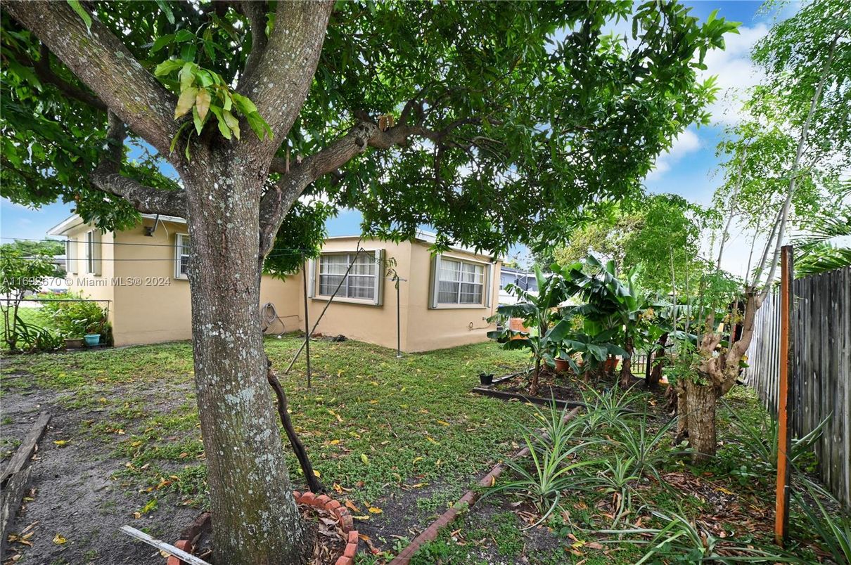 Backyard, Exterior