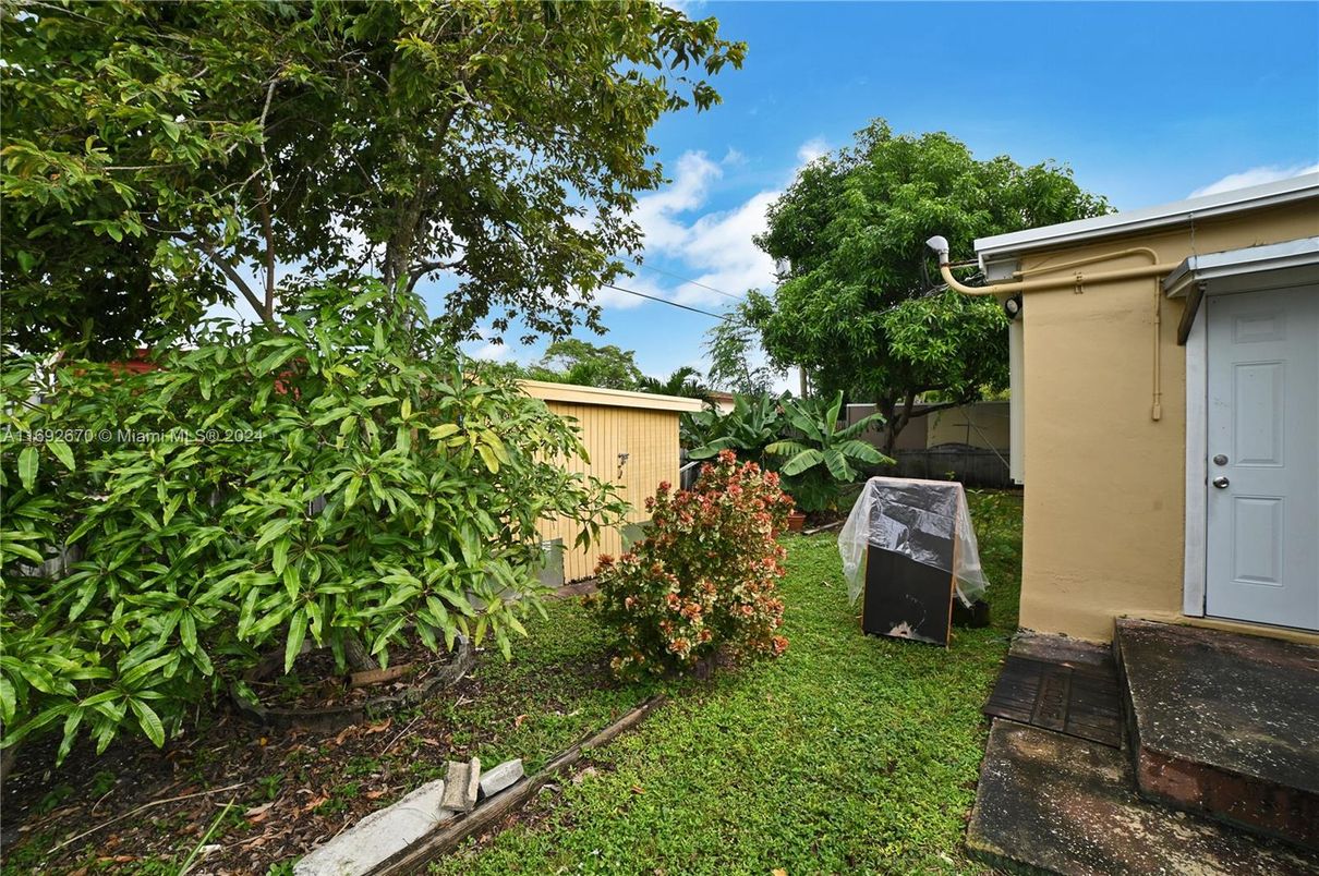 Backyard, Exterior