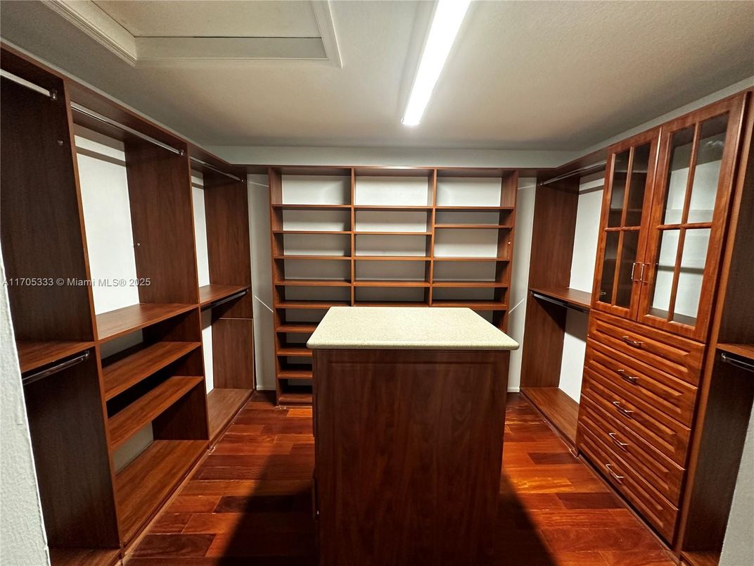Interior, Walk-in Closets, Wood Texture Flooring