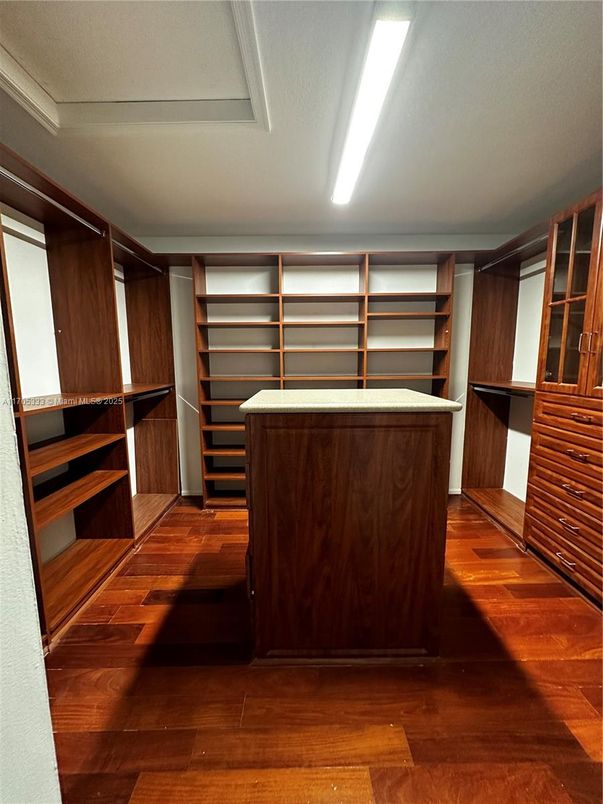 Interior, Walk-in Closets, Wood Texture Flooring