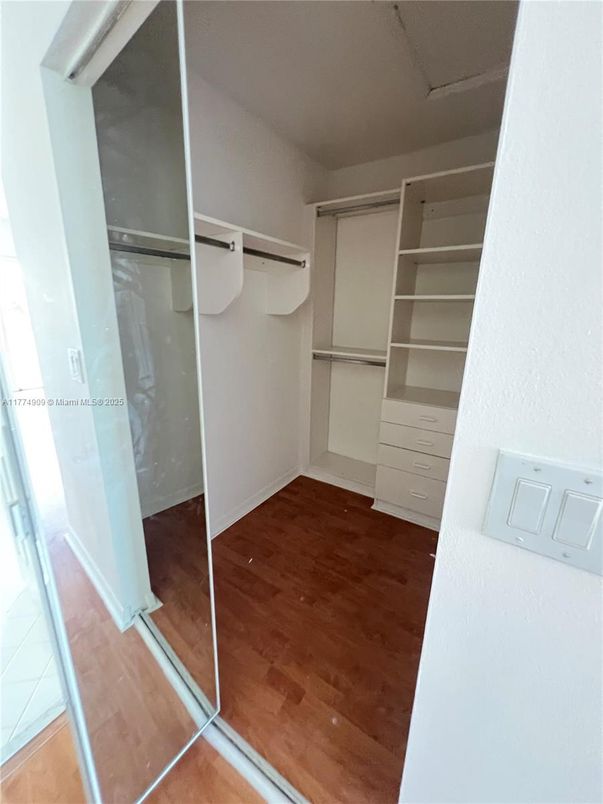 Interior, Walk-in Closets, Wood Texture Flooring