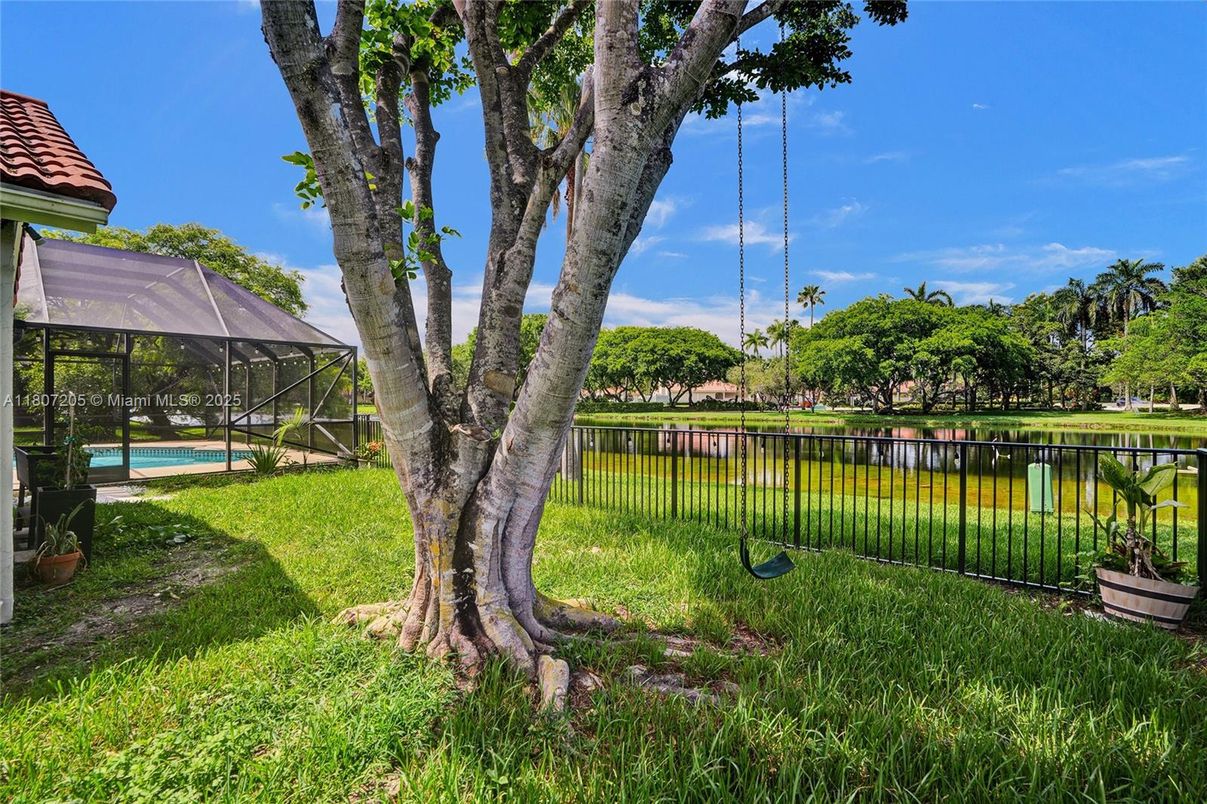 Backyard, Exterior, Water