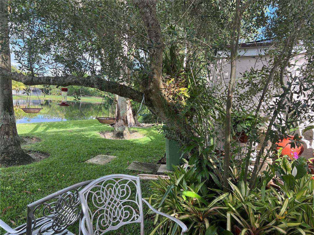 Backyard, Exterior, Water