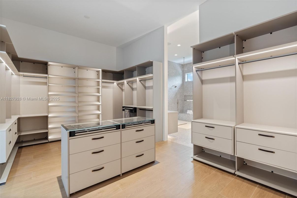 Interior, Recessed Lighting, Walk-in Closets, Wood Texture Flooring