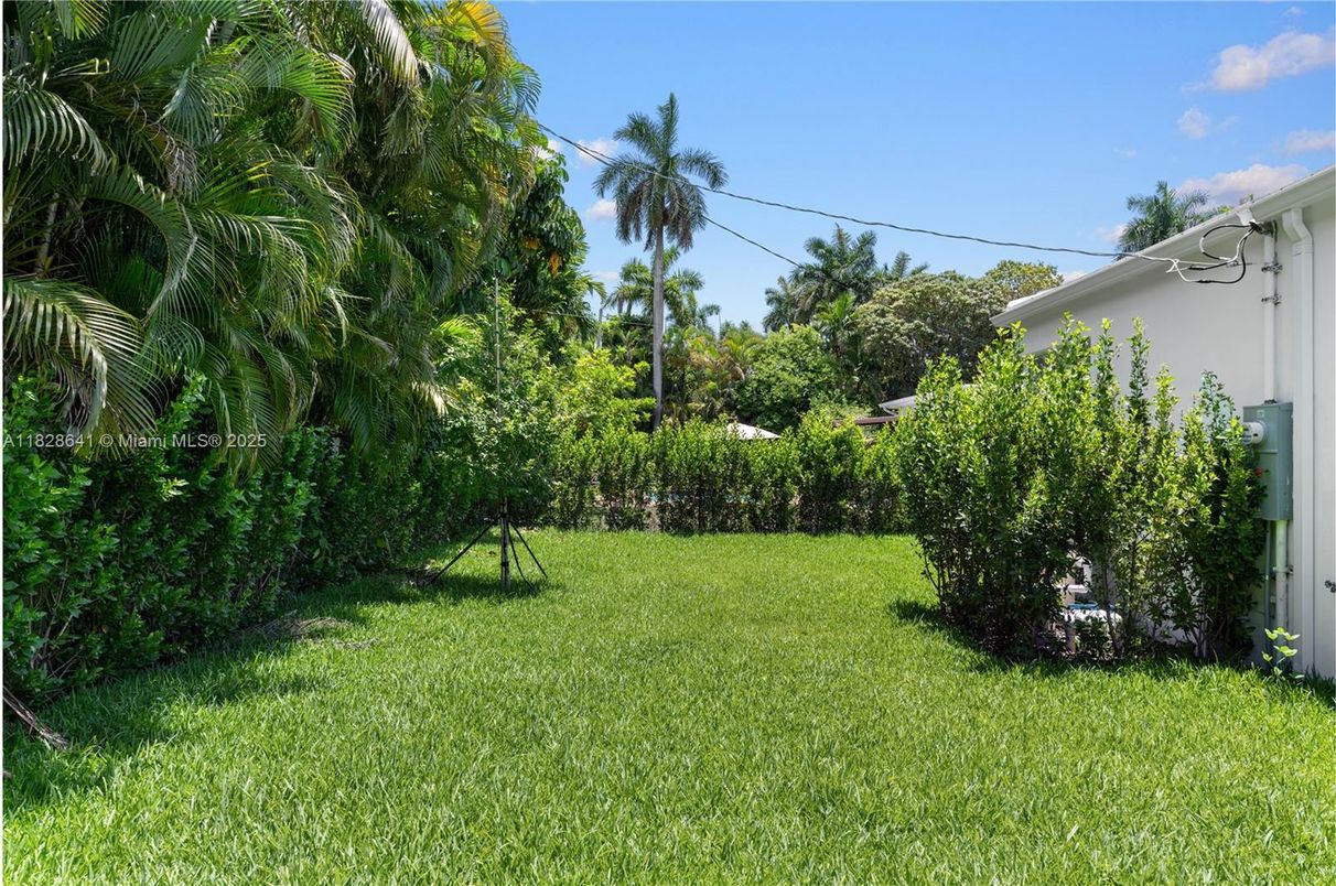 Backyard, Exterior