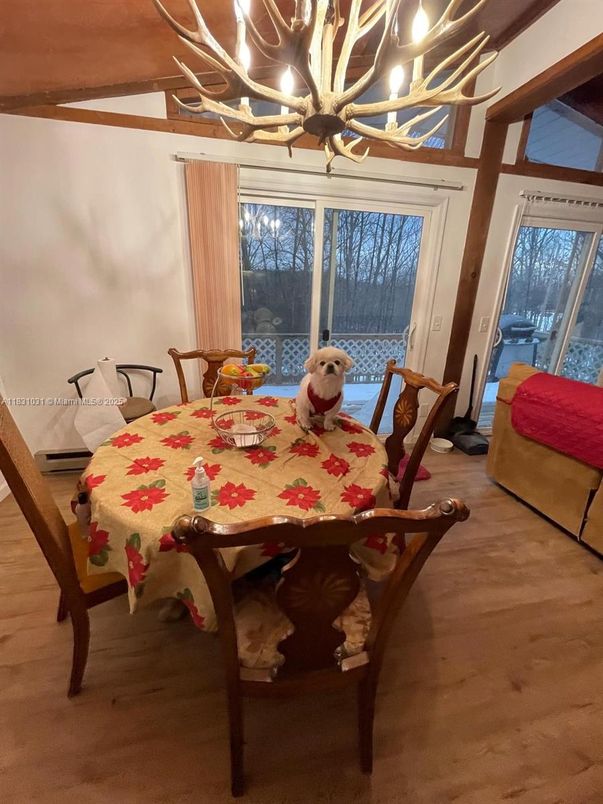 Chandelier, Dining room, Interior, Wood Texture Flooring