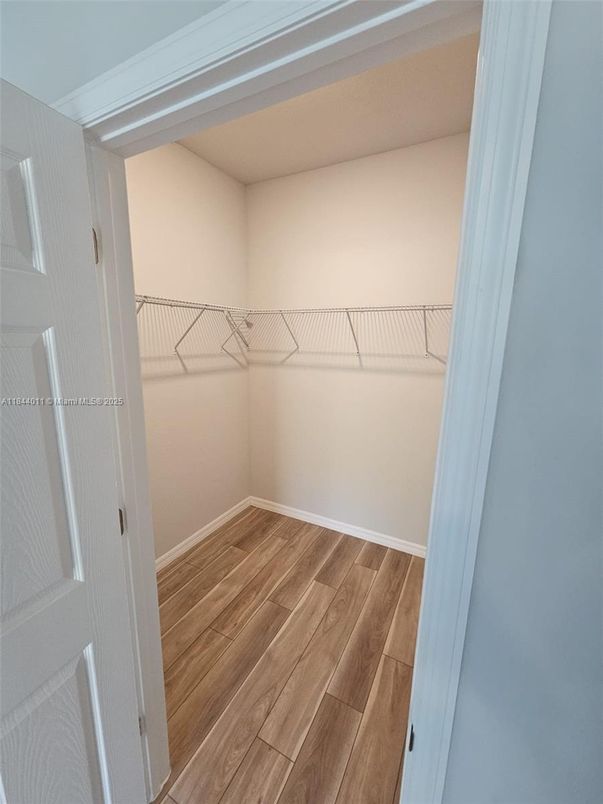 Interior, Walk-in Closets, Wood Texture Flooring
