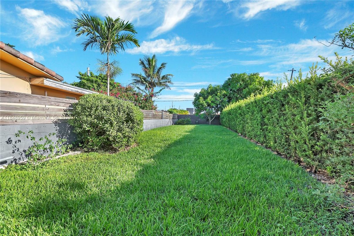 Backyard, Exterior