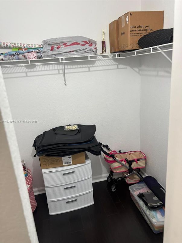 Interior, Walk-in Closets, Wood Texture Flooring