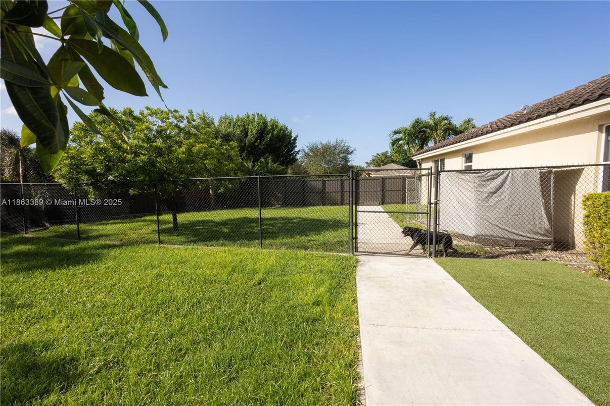 Backyard, Exterior