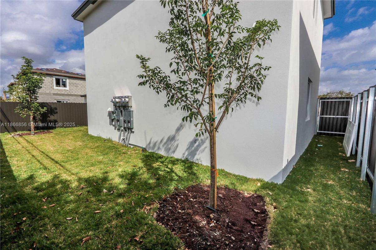 Backyard, Exterior
