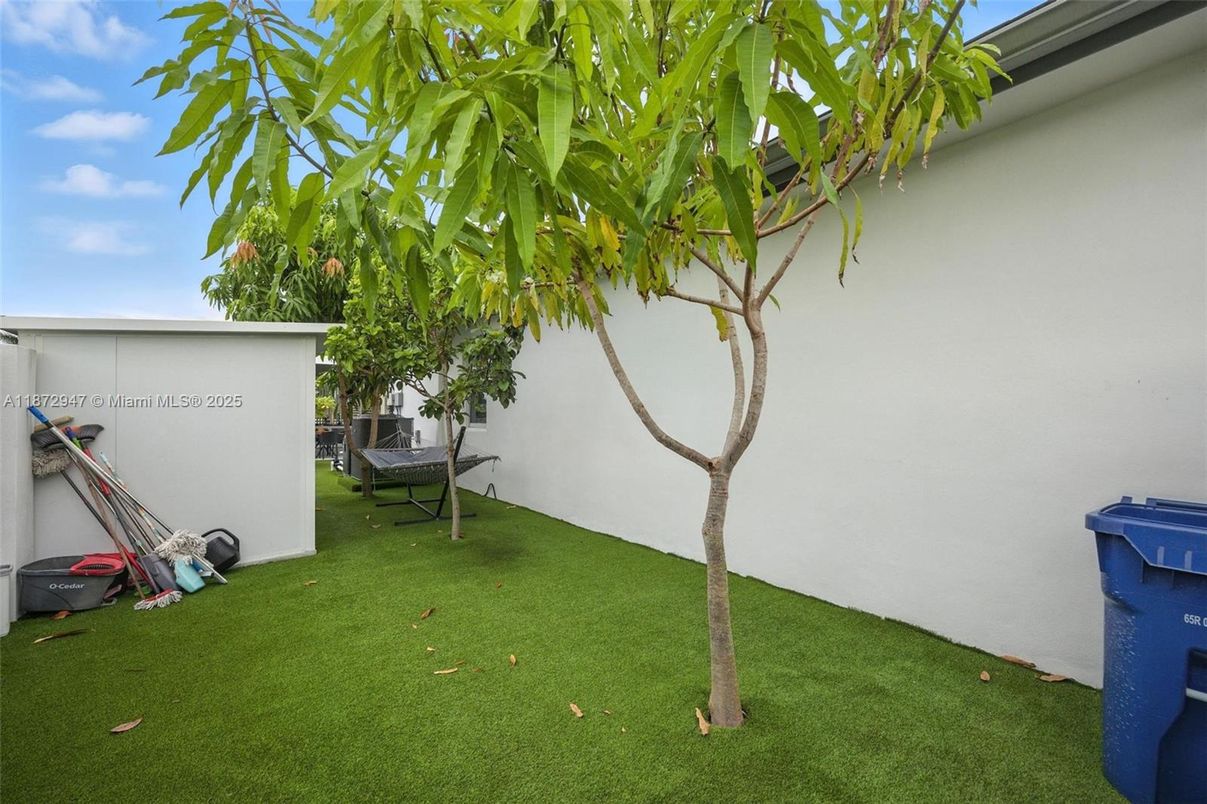 Backyard, Exterior