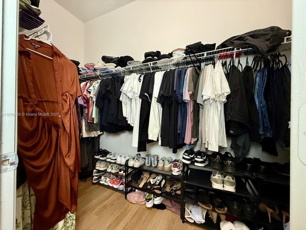 Interior, Walk-in Closets, Wood Texture Flooring
