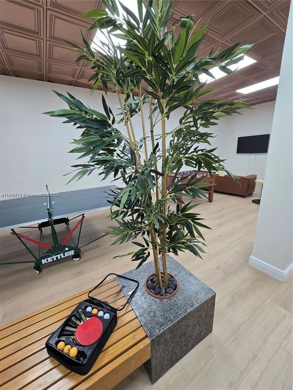 Fitness Equipment, Interior, Wood Texture Flooring