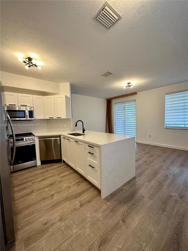Interior, Kitchen, Stainless Steel Appliances, Wood Texture Flooring
