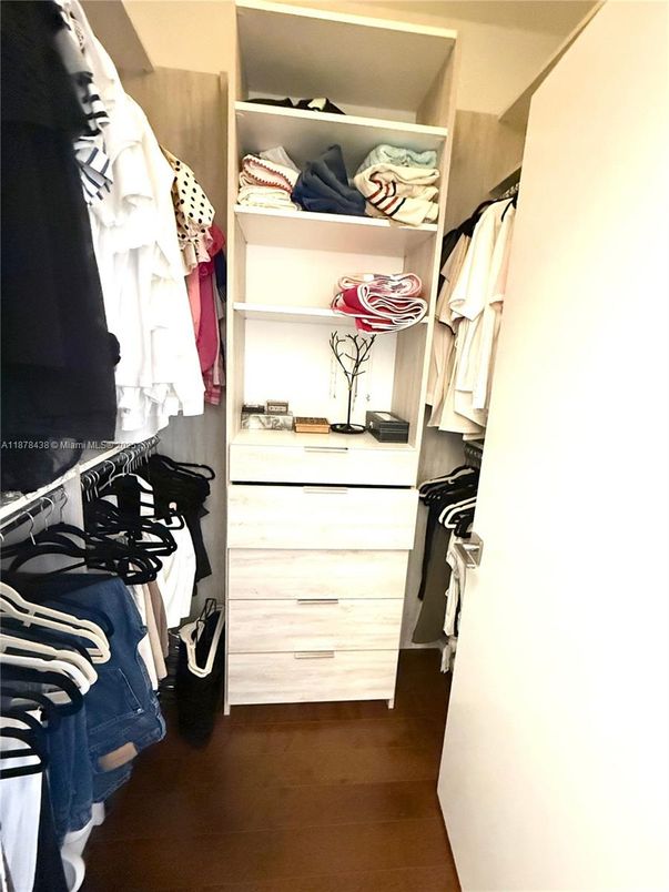 Interior, Walk-in Closets, Wood Texture Flooring