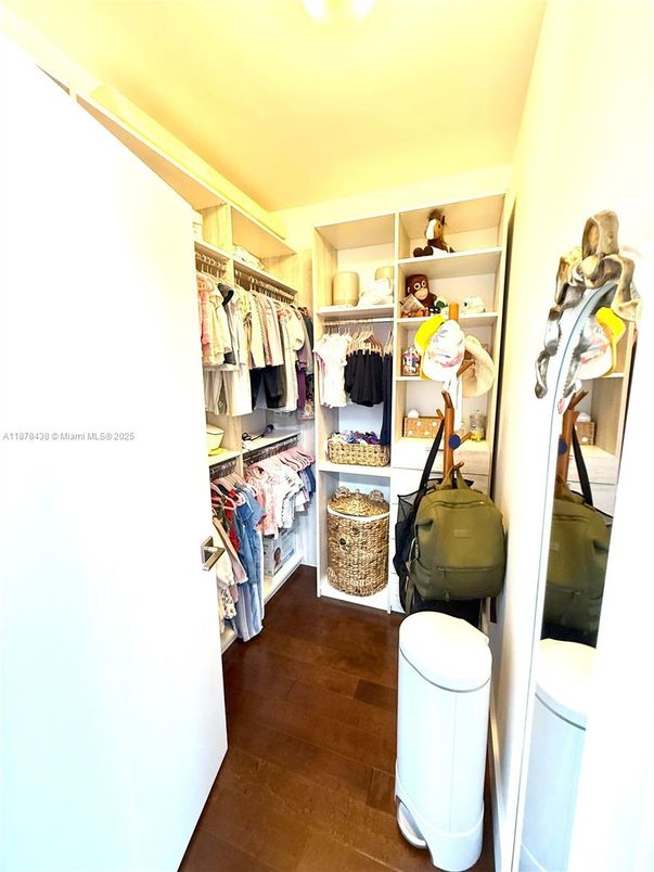 Interior, Walk-in Closets, Wood Texture Flooring