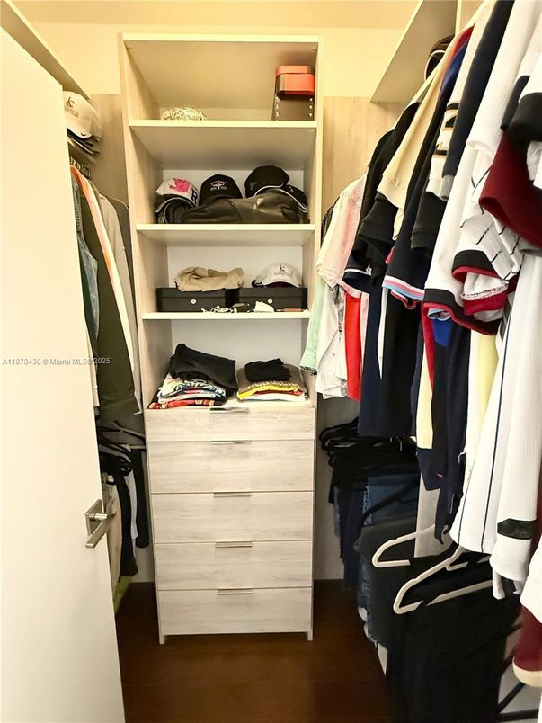 Interior, Walk-in Closets, Wood Texture Flooring