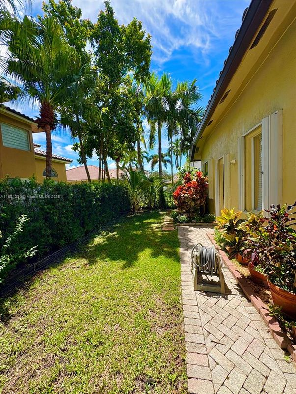 Backyard, Exterior