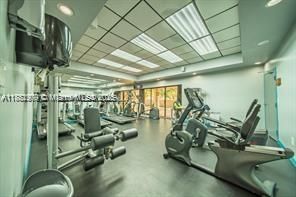 Fitness Equipment, Gym, Interior, Recessed Lighting