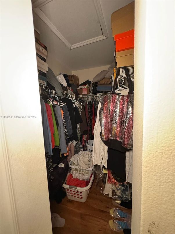 Interior, Walk-in Closets, Wood Texture Flooring