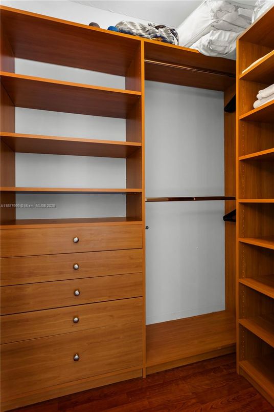 Interior, Walk-in Closets, Wood Texture Flooring