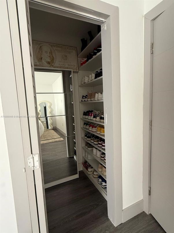 Interior, Walk-in Closets, Wood Texture Flooring
