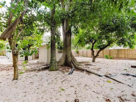 Backyard, Exterior