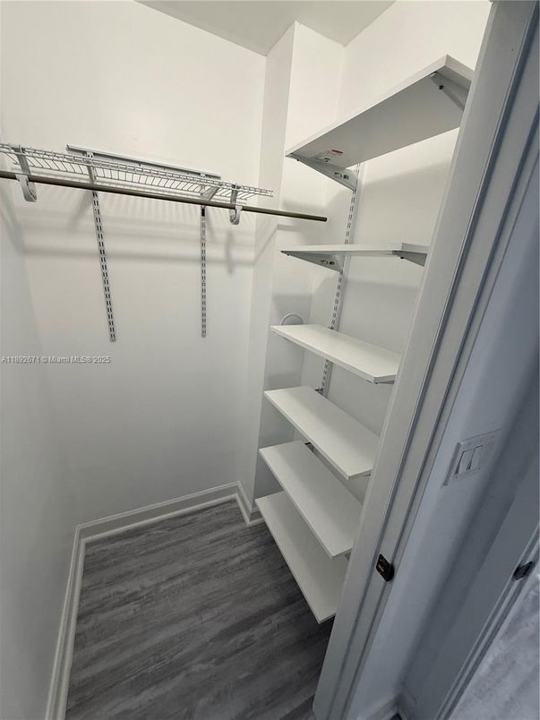 Interior, Walk-in Closets, Wood Texture Flooring
