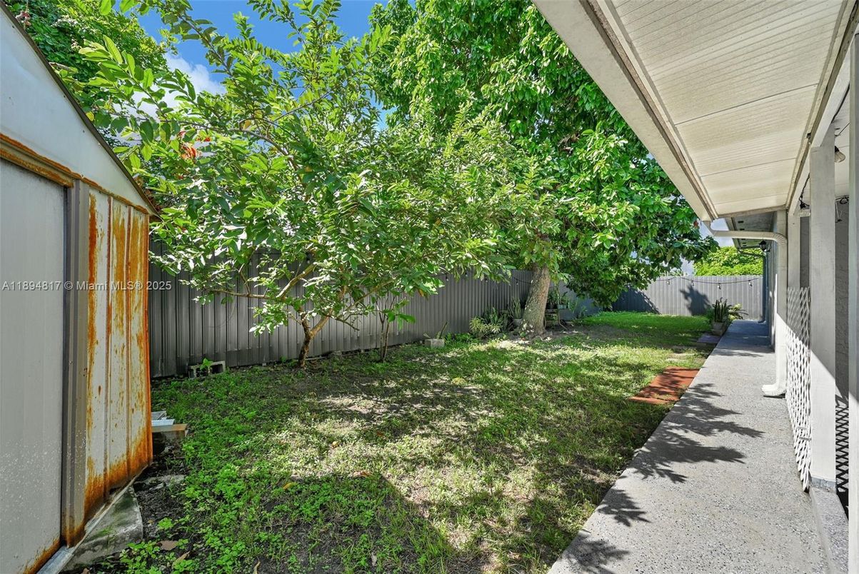 Backyard, Exterior