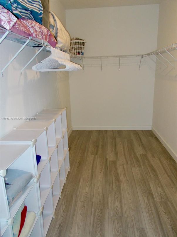 Interior, Walk-in Closets, Wood Texture Flooring