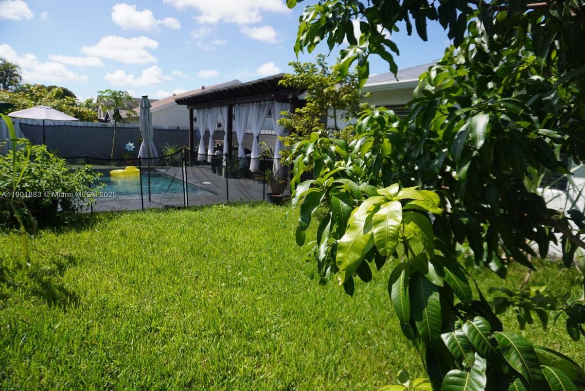 Backyard, Exterior, Pool