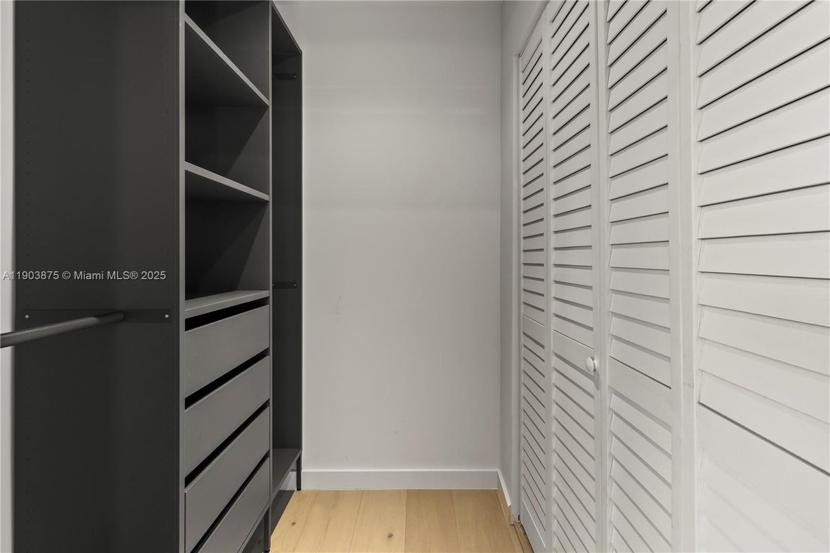 Interior, Walk-in Closets, Wood Texture Flooring