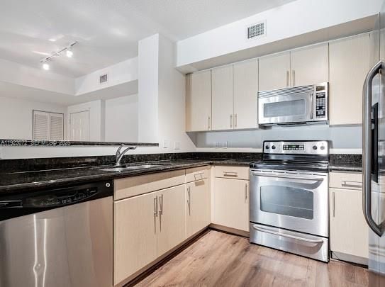 Interior, Kitchen, Stainless Steel Appliances, Wood Texture Flooring