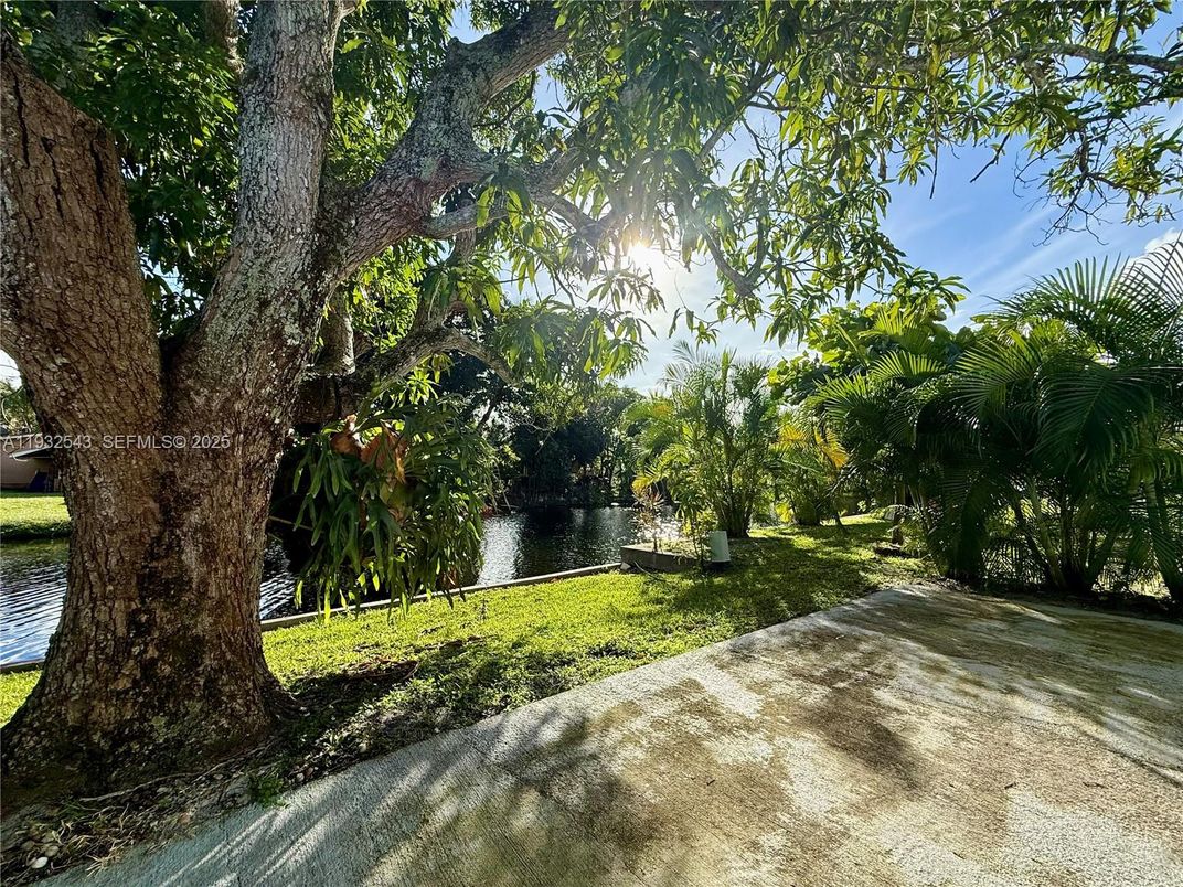 Backyard, Exterior, Water