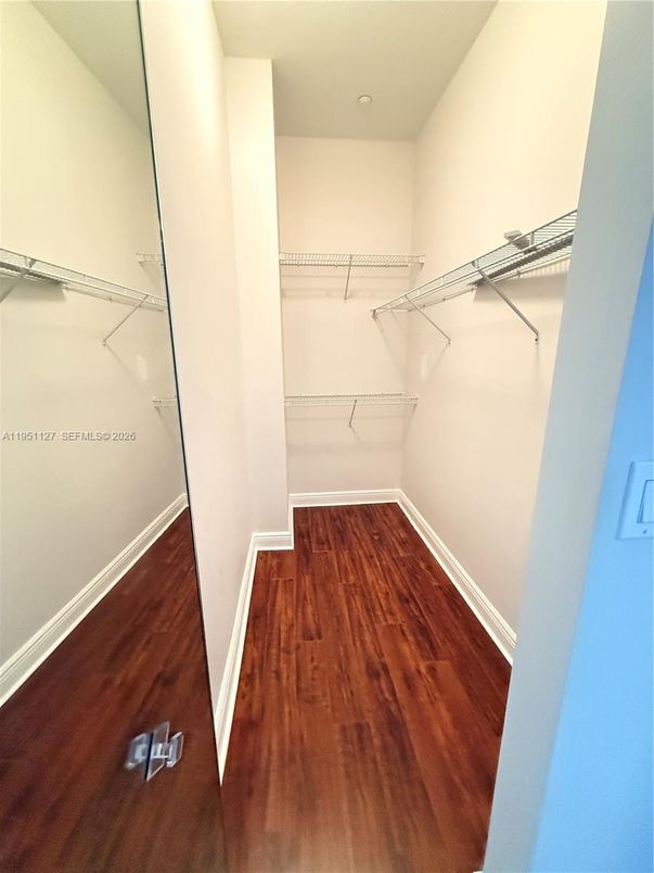 Interior, Walk-in Closets, Wood Texture Flooring