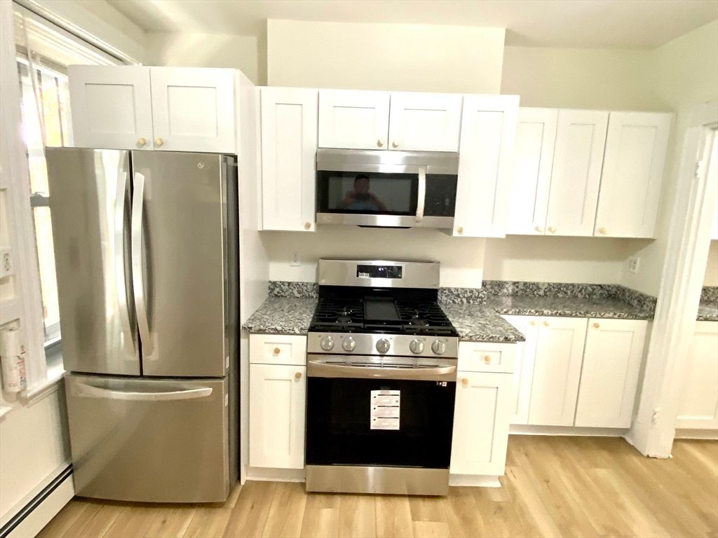 Interior, Kitchen, Stainless Steel Appliances, Wood Texture Flooring