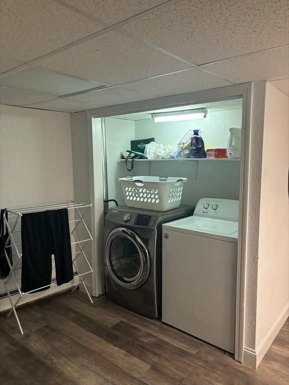 Interior, Utility Closets, Washer, Wood Texture Flooring