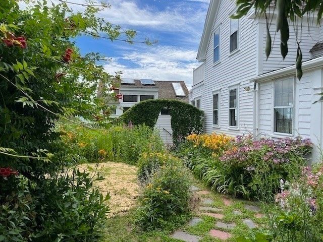 Backyard, Exterior, Solar Panels