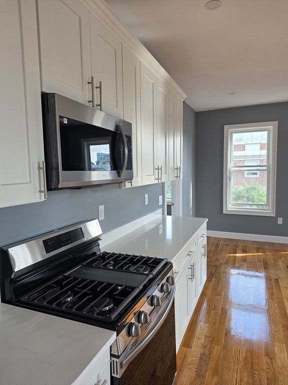 Interior, Kitchen, Stainless Steel Appliances, Wood Texture Flooring