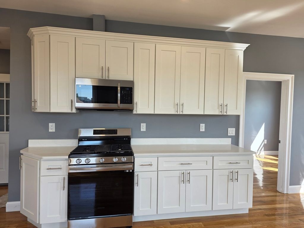 Interior, Kitchen, Stainless Steel Appliances, Wood Texture Flooring