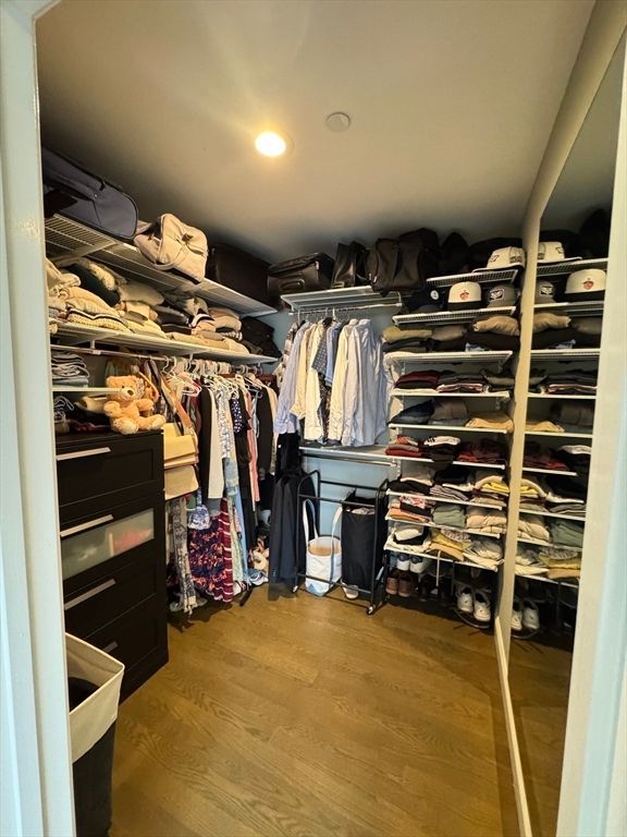 Interior, Recessed Lighting, Walk-in Closets, Wood Texture Flooring