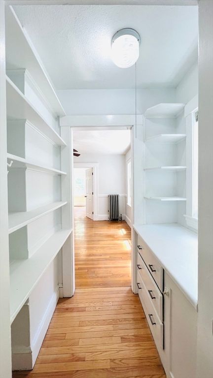 Interior, Walk-in Closets, Wood Texture Flooring