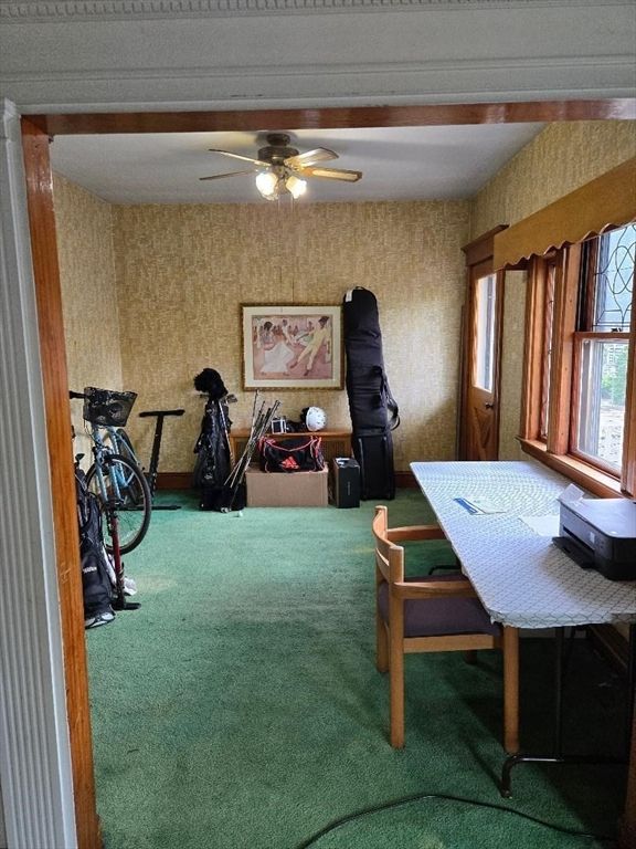 Fitness Equipment, Interior
