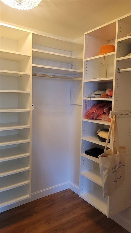 Interior, Walk-in Closets, Wood Texture Flooring