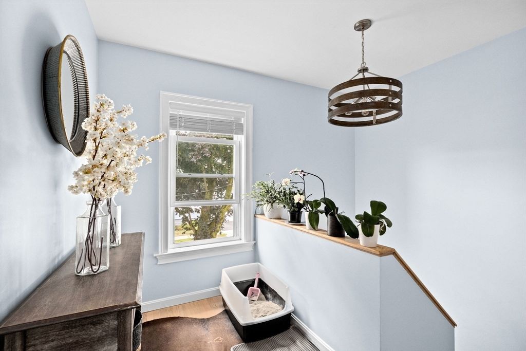 Interior, Pendant Lights