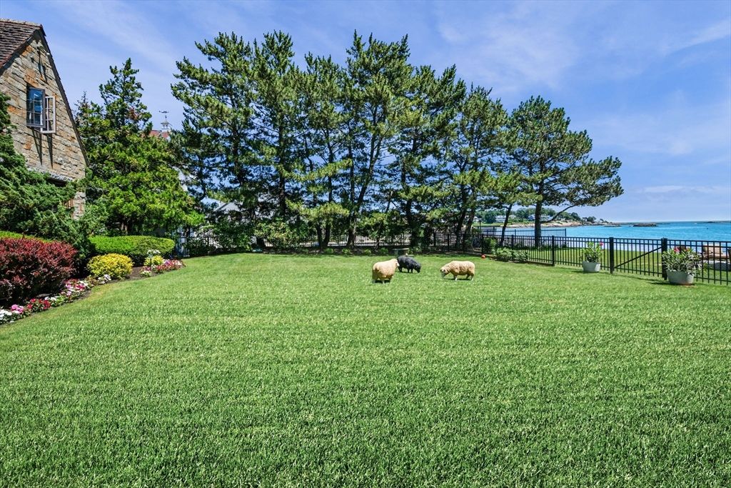 Backyard, Exterior, Water