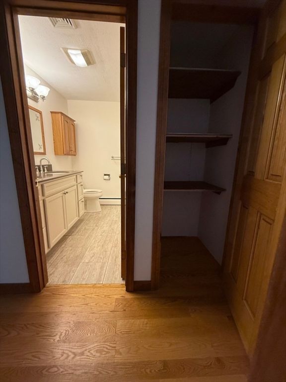 Bathroom, Interior, Wood Texture Flooring